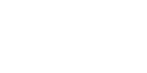 Geaux Home Inspection Logo White